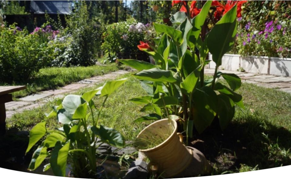 ��� ����� �� ����: ������� ������ � 12 �� 18 �������