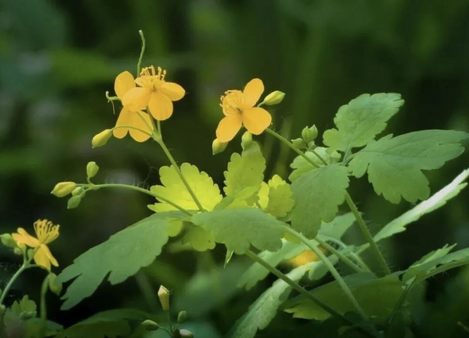 �������� � ����� �������: ����� �� ��������� � ������� ���������?