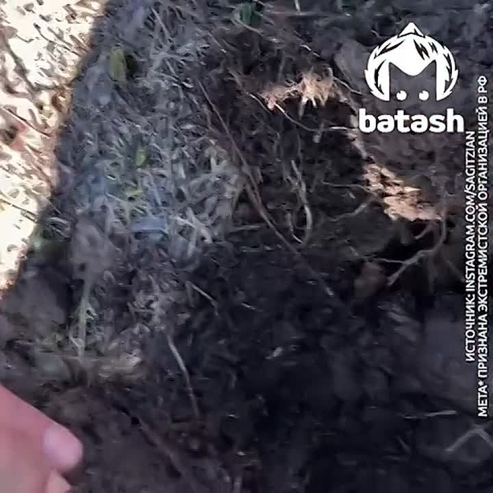 "��**�� ������? ��� ��***��"