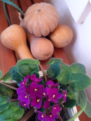 ��������� ���� �� �������: �������� � ������� ������ ��� �����