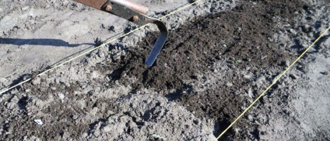 ��� ���������� ����� ��������� ��������: �������� ������� ��� ��������� �������