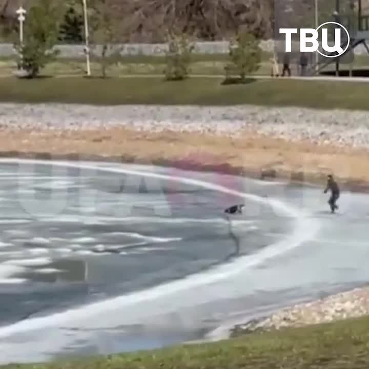 ������� ���� �� �������, ������� ������ ������ � ���