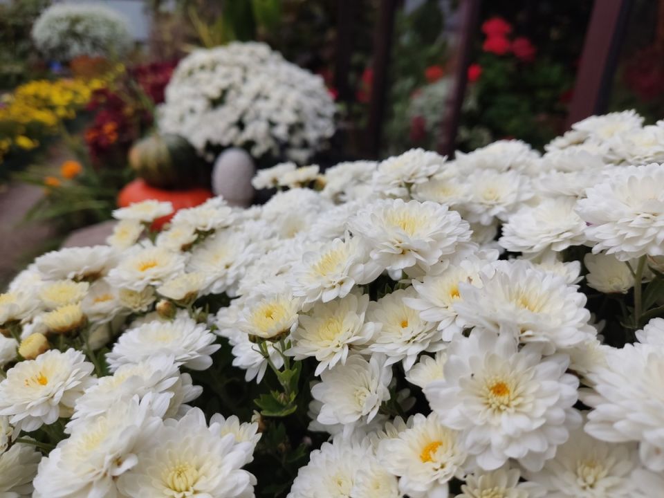 ���, ������� ����� ������: ��� ������� ������������ ������� �����