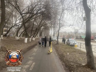 ���������� � �������-������������ ������������� �� �������� �����