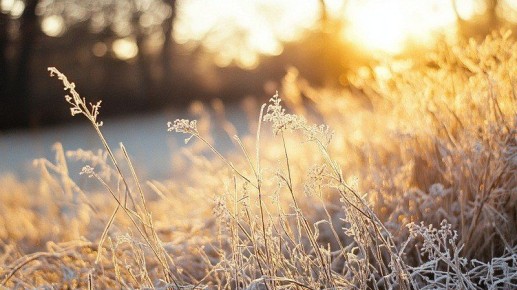 ����� ���������� ���� �� �������� ��������� ������ �����������