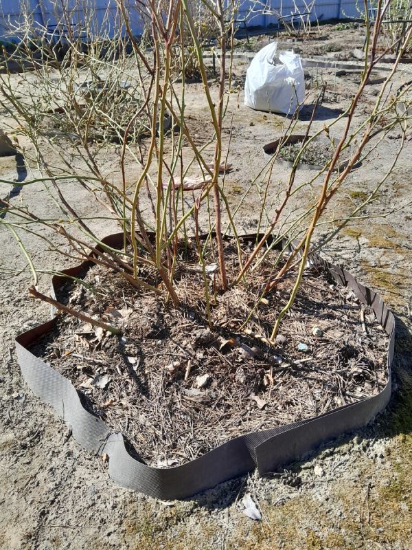 ��� ������� ��������� ����� ��������� ����� ����� ����?