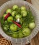 Зеленые помидоры на закуску: как заквасить вкусное угощение