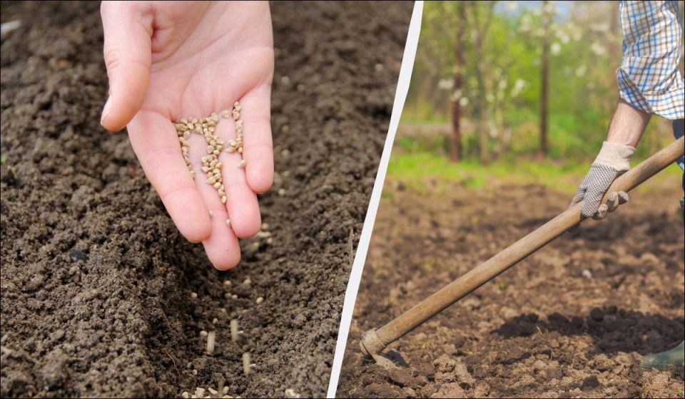 ���������� � ����: ��������� �������� ��� ����� ������