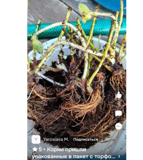 ��������: ��� ������� ���� � ��� ������ �������