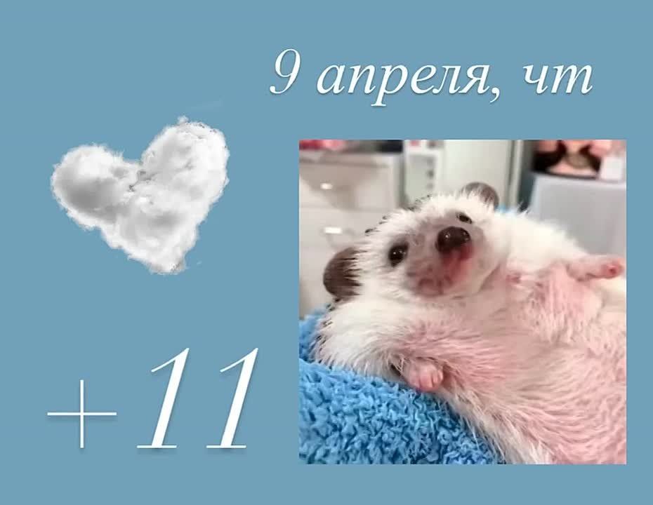 ������ ����! ��� ������� � ��������