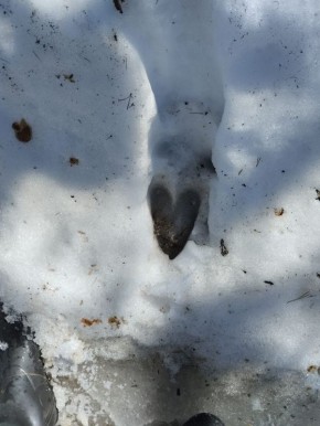 ����� ���� ��������� � ���� ������