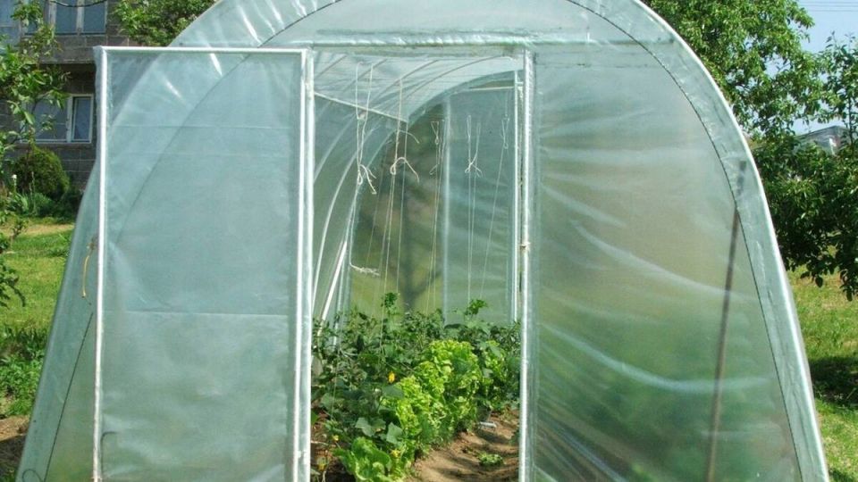 ��� ������� ��������� ������ ��� �������