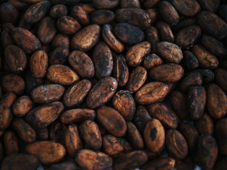 �����-���� ��� ���������: ������� ���� ������� ���� 4600 ��������