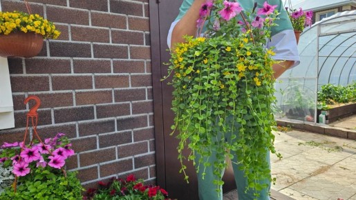 ��������� ����� ��� ������ ����: ������� ����