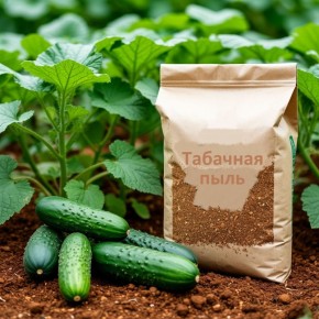 �������� ����: ��������� ���������� ��� ������ �������