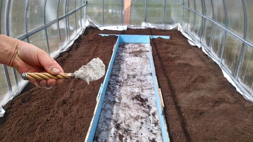 ��� �������� ����� �� ����������� ���� � �������� ������