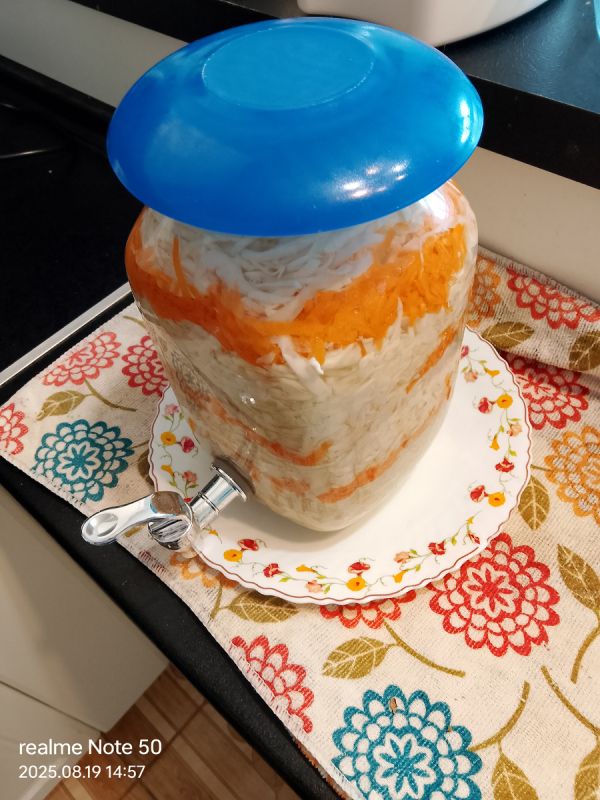 �������� � ��������: ��� ����������� ������� ����� �������