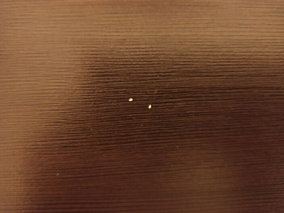 �������� �� �����: ������������� ����������� � ��� ������