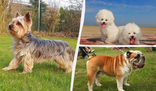 ��������� ������ ��� �������: 9 ��������� �����, ������� ����� �����������