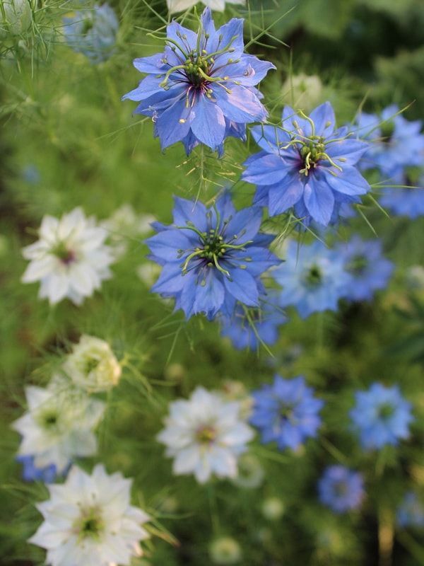 ������� ������: �����, ������� ����� ��������� ��� �������