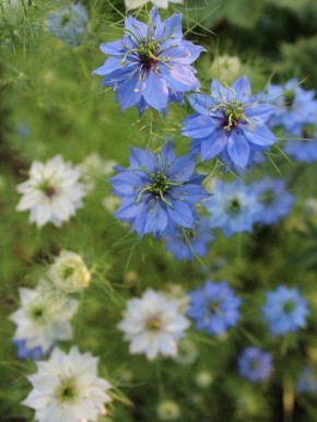 ������� ������: �����, ������� ����� ��������� ��� �������