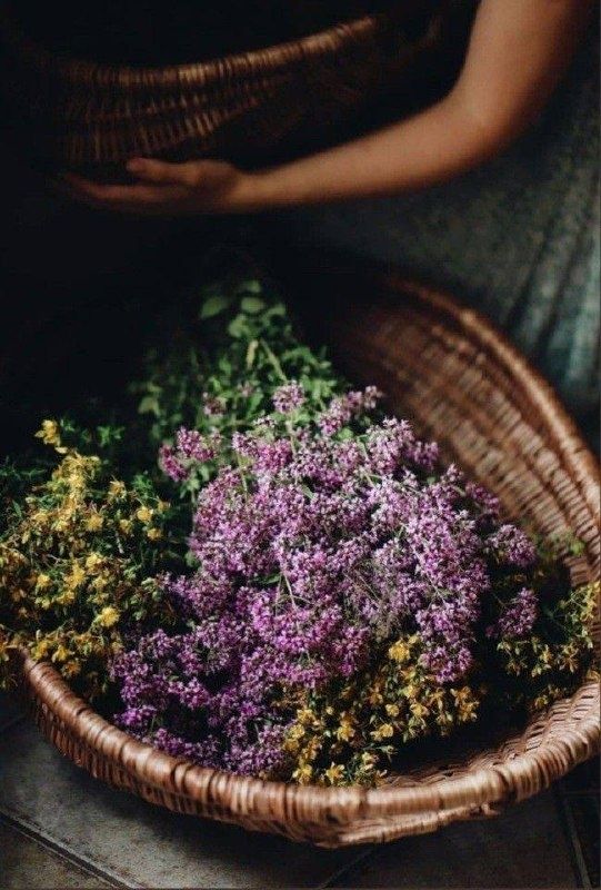 ������: ����������� ��� �� ������ ����� � ������ �������