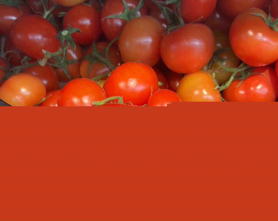 ��� �������� ���������� �������� � ������: ������� �������� ����