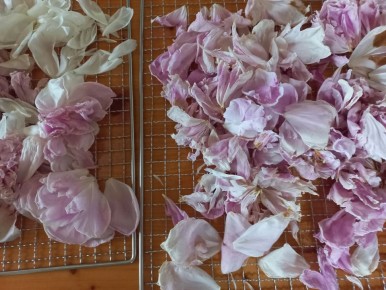 ������ ������� ����� ���������� ����� ������� ����� ��������� ���