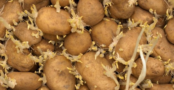 ��� ������������� ������ ����������� ���������: ������������ ������ ��� ���������