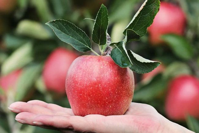 ������ ���������� ����� � �������� � ������ ������ �� ������� ��� ����