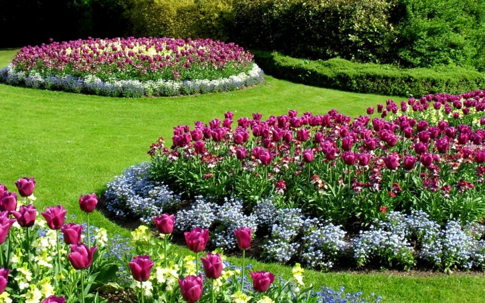 �������� ��������� ����: �������� ������� ��� ������