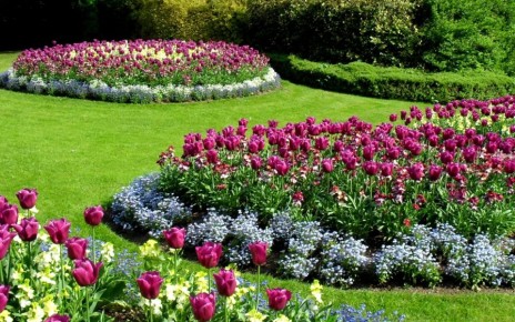 Создание цветущего сада: ключевые моменты для успеха