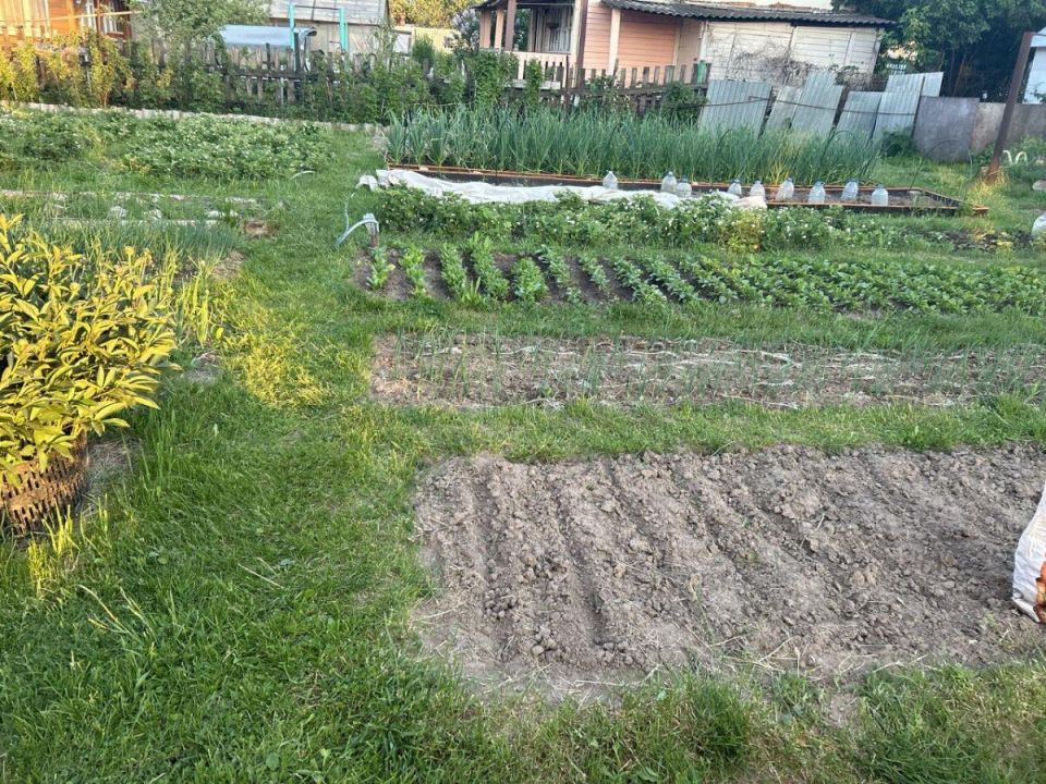 ��� �������� ���� ��� �� ������: ������ �� ����� �� ��������