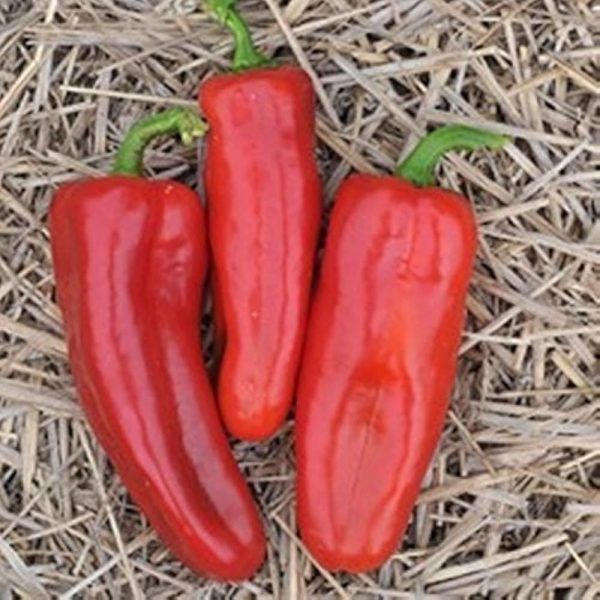 ������� �����: ������ ������� ����� � ���������� ������ � ����� ��������