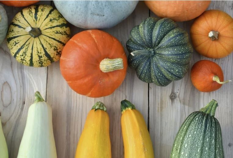 ��� ��������� ������� � ����� �� ����: �������� ������ ��� ��������