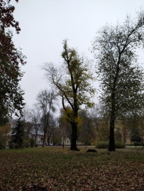 ������, ������ ���������