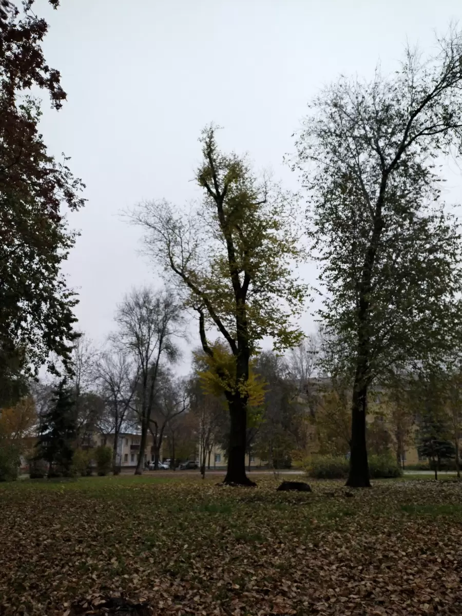 Неделя, полная сюрпризов