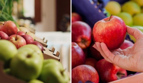 ������ ��������� ������ �� ������������ �������� �������: ������ � �������� ��������