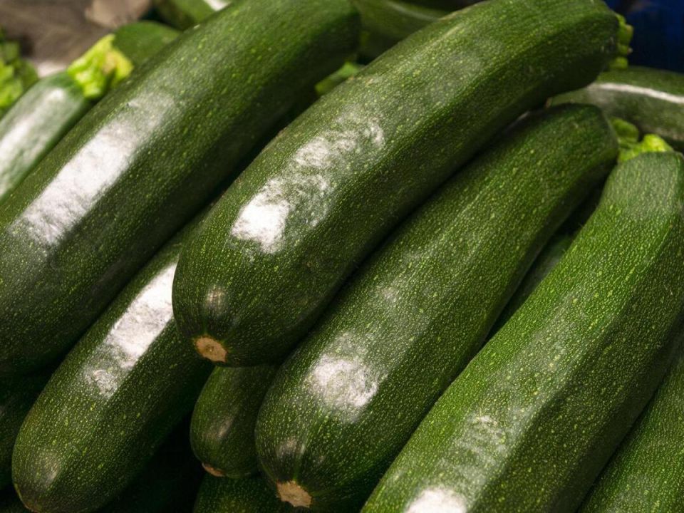 ��� ��������� ��������� �������: ������� ��������� ������