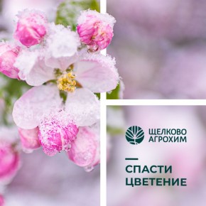 ��� �������� ������ �� �������� ����������: ����������� ������� ��� ���������