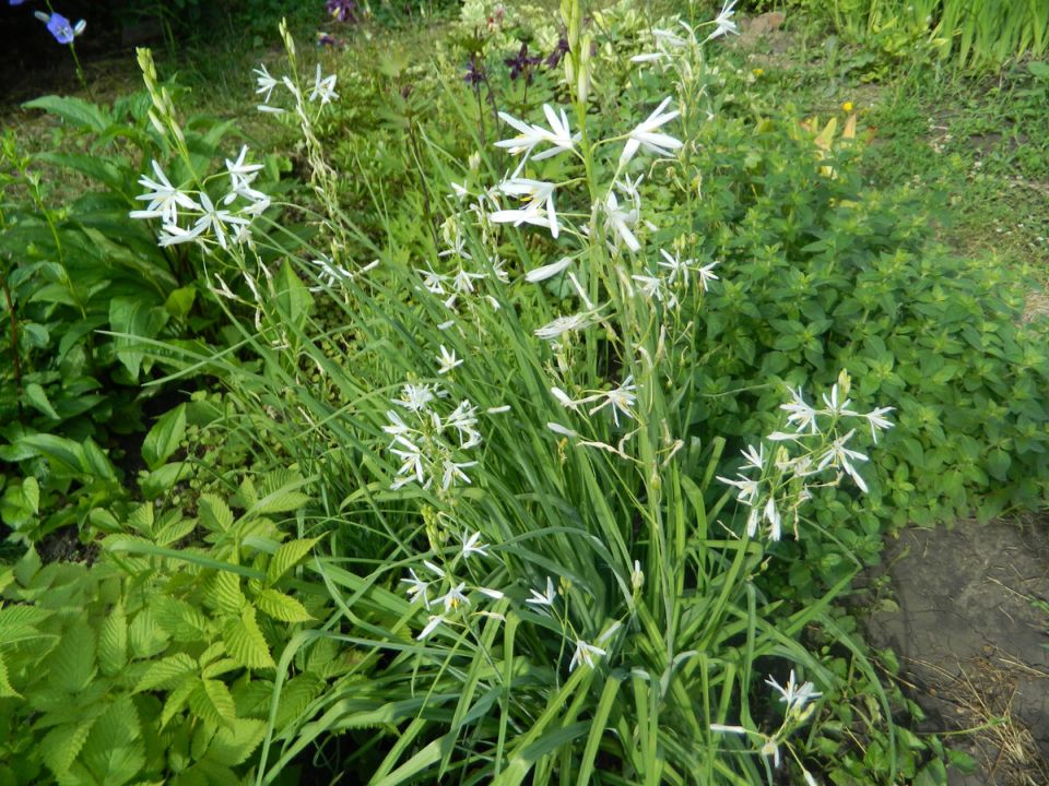 ������ ���������: ��� ������������ �������� � ����� ����