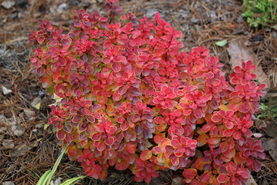 ����� � ����: ����������� � ������ �������