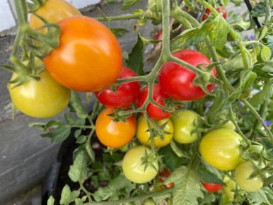 ��� ��������� �������� �������� ��� ����� � ����������� �� �����