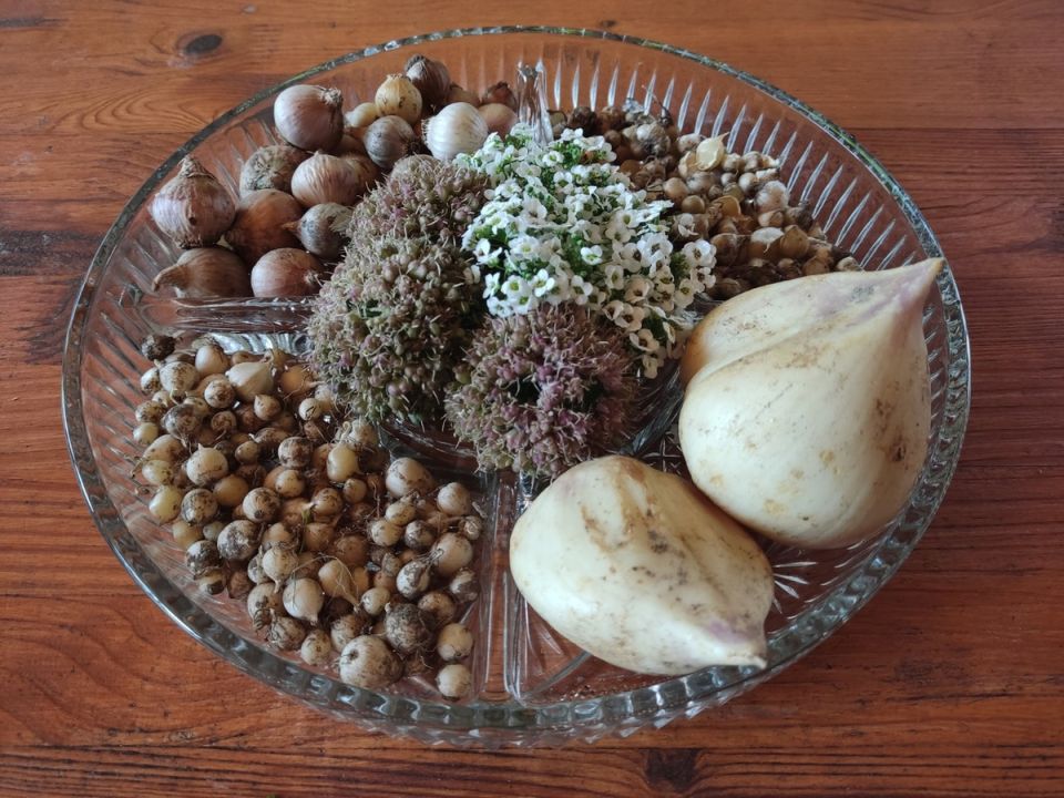 ������������ ����: ��� �������� ��� �������