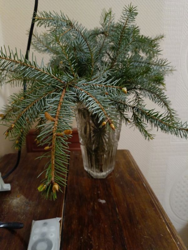 ��� ���������� ������� ����� �������� ����� � ��������