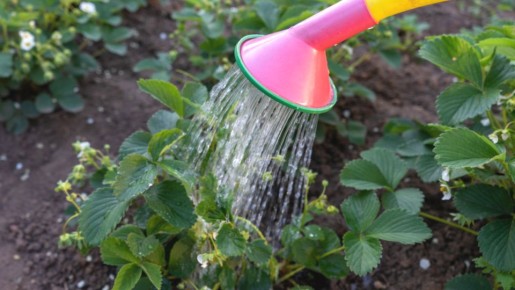 ��������� �����, ���������� ������ ���������� ������