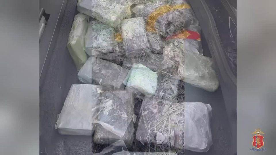 � ������ ������ 25 �� ����������