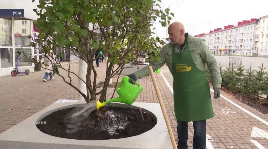 ����� �������� ���� ���������� ����� ������� ���������