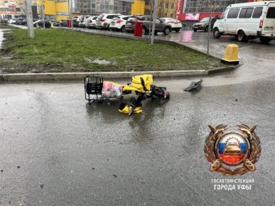 ������ ���� ��������������������