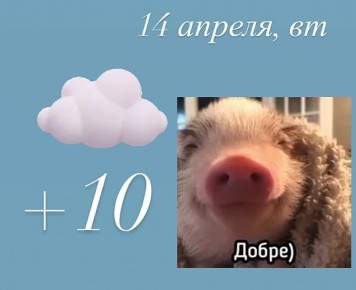 ������ ����